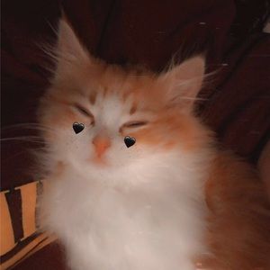 Meet your Posher, Adria